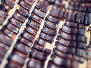 pürüzlü yüzeyi çok renkli boya