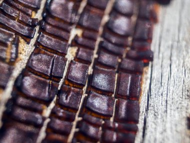 pürüzlü yüzeyi çok renkli boya