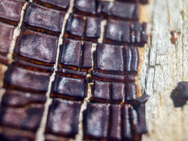 pürüzlü yüzeyi çok renkli boya