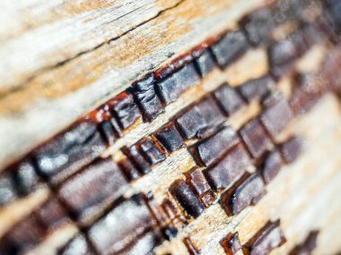 pürüzlü yüzeyi çok renkli boya