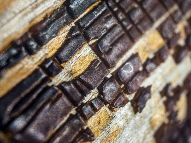 pürüzlü yüzeyi çok renkli boya