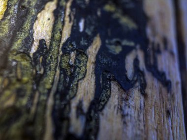 pürüzlü yüzeyi çok renkli boya