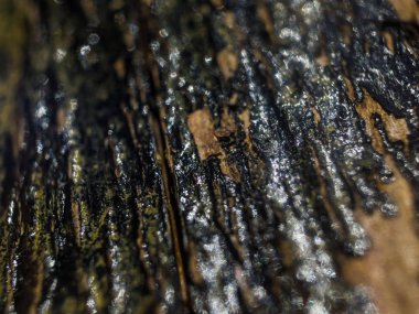 pürüzlü yüzeyi çok renkli boya