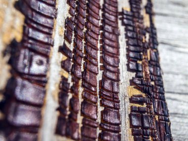 pürüzlü yüzeyi çok renkli boya