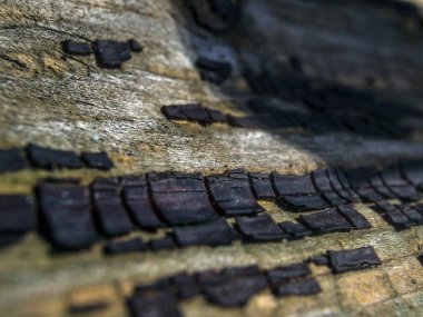 pürüzlü yüzeyi çok renkli boya