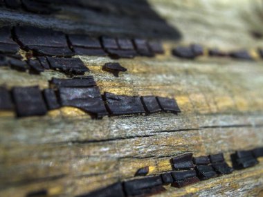 pürüzlü yüzeyi çok renkli boya