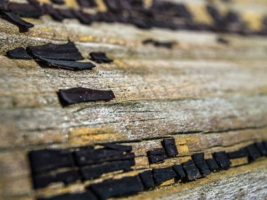 pürüzlü yüzeyi çok renkli boya