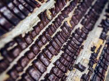 pürüzlü yüzeyi çok renkli boya