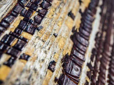 pürüzlü yüzeyi çok renkli boya