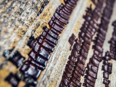 pürüzlü yüzeyi çok renkli boya