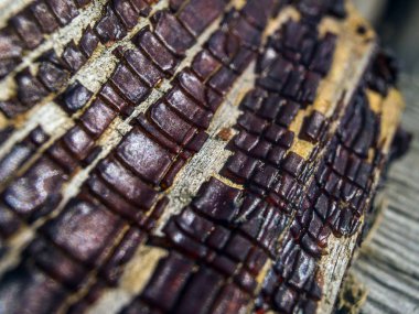 pürüzlü yüzeyi çok renkli boya