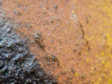 pürüzlü yüzeyi çok renkli boya