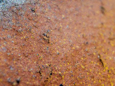 pürüzlü yüzeyi çok renkli boya