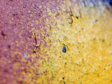 pürüzlü yüzeyi çok renkli boya