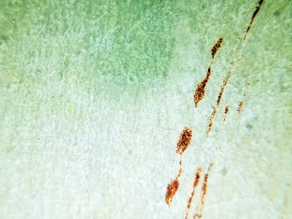 pürüzlü yüzeyi çok renkli boya