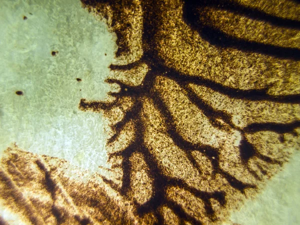 pürüzlü yüzeyi çok renkli boya