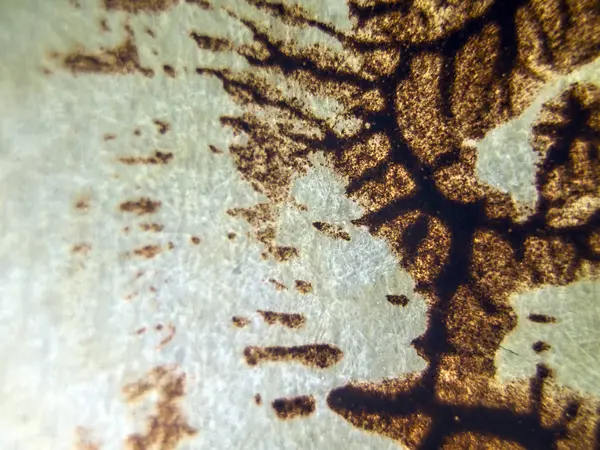 pürüzlü yüzeyi çok renkli boya