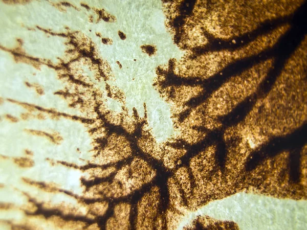 pürüzlü yüzeyi çok renkli boya