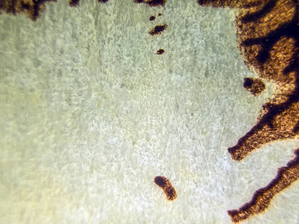 pürüzlü yüzeyi çok renkli boya