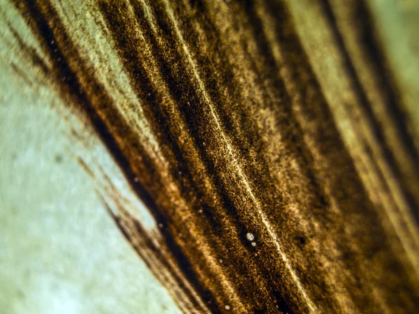 pürüzlü yüzeyi çok renkli boya