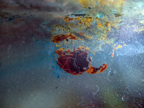 pürüzlü yüzeyi çok renkli boya