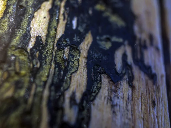 pürüzlü yüzeyi çok renkli boya