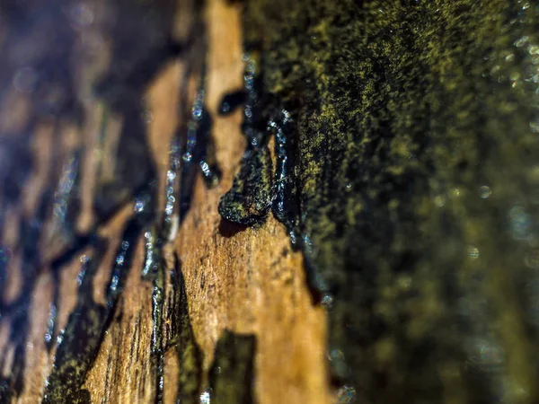 pürüzlü yüzeyi çok renkli boya