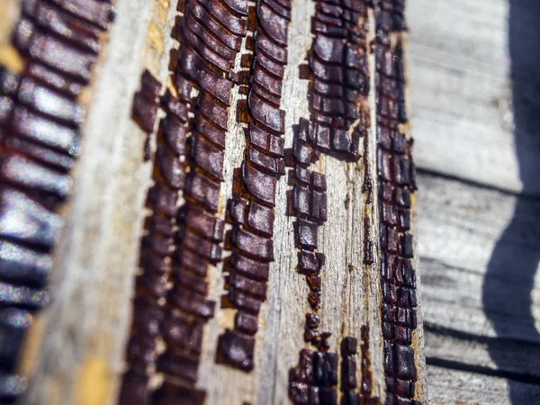 Mehrfarbige Farbe Auf Unebener Oberfläche — Stockfoto