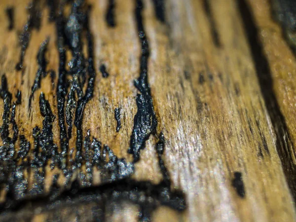 pürüzlü yüzeyi çok renkli boya