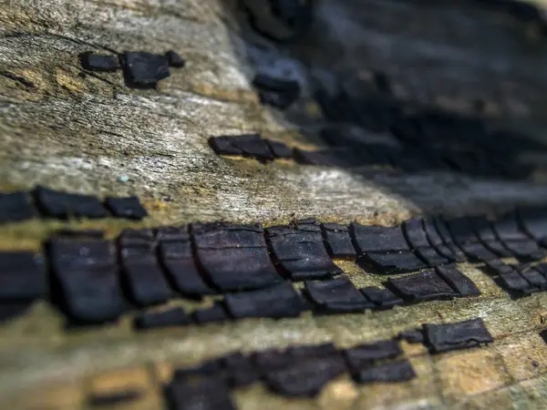 pürüzlü yüzeyi çok renkli boya