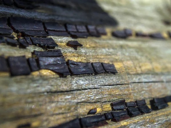 pürüzlü yüzeyi çok renkli boya