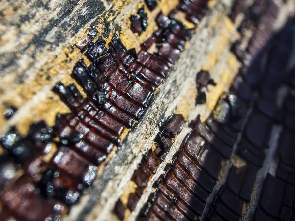 pürüzlü yüzeyi çok renkli boya
