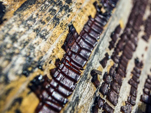 pürüzlü yüzeyi çok renkli boya