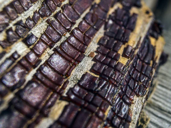 pürüzlü yüzeyi çok renkli boya