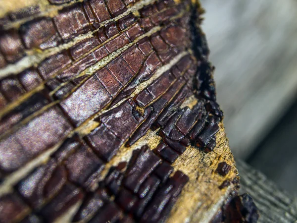 pürüzlü yüzeyi çok renkli boya