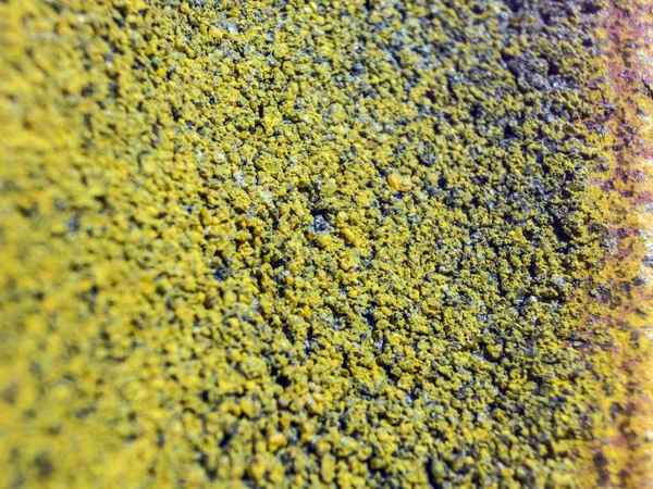 pürüzlü yüzeyi çok renkli boya