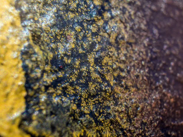 pürüzlü yüzeyi çok renkli boya