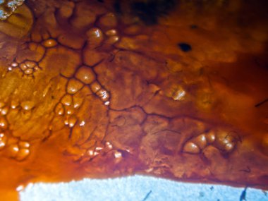 pürüzlü yüzeyi çok renkli boya