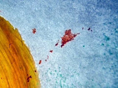 pürüzlü yüzeyi çok renkli boya