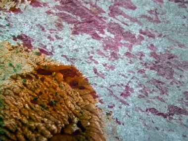 pürüzlü yüzeyi çok renkli boya