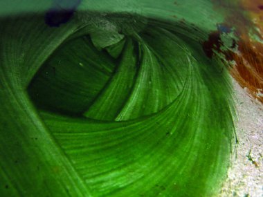 pürüzlü yüzeyi çok renkli boya