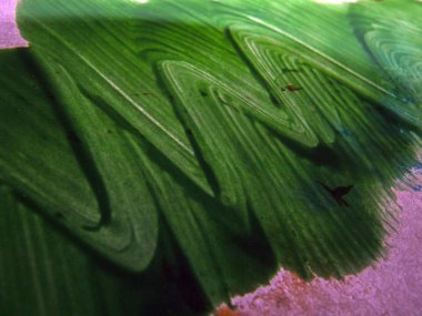 pürüzlü yüzeyi çok renkli boya