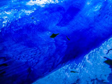 pürüzlü yüzeyi çok renkli boya