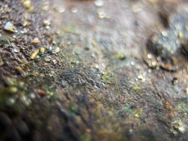 pürüzlü yüzeyi çok renkli boya