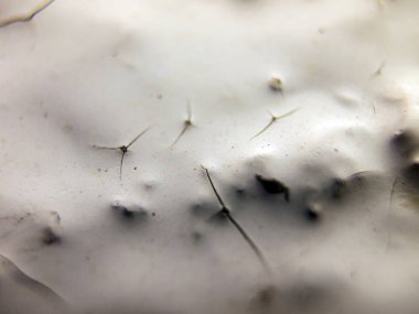 pürüzlü yüzeyi çok renkli boya