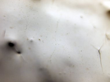 pürüzlü yüzeyi çok renkli boya