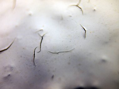 pürüzlü yüzeyi çok renkli boya