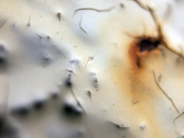 pürüzlü yüzeyi çok renkli boya