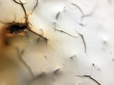 pürüzlü yüzeyi çok renkli boya