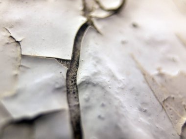 pürüzlü yüzeyi çok renkli boya